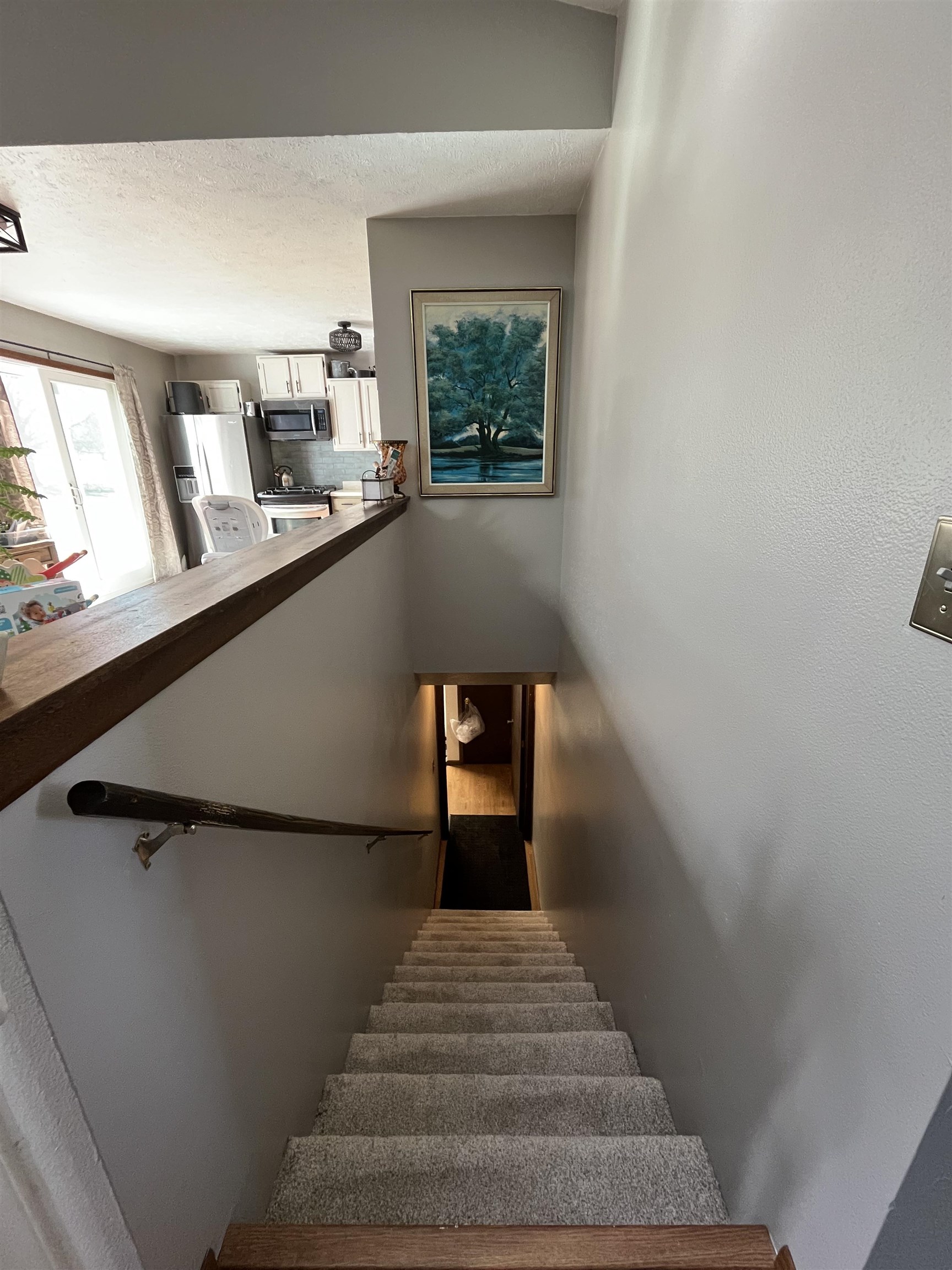 300 Lamplighter Loop Southeast Poplar Grove, IL 61065 - Photo 10 of 29 a view of entryway and hall with wooden floor