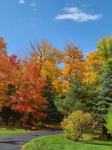 $799,950 | 39949 Sunset Shores Road Southeast, Mentor, MN 56736