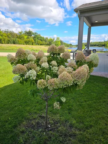 $799,950 | 39949 Sunset Shores Road Southeast, Mentor, MN 56736