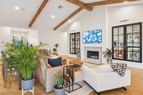 a living room with furniture fireplace and potted plant