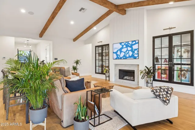 a living room with furniture fireplace and potted plant