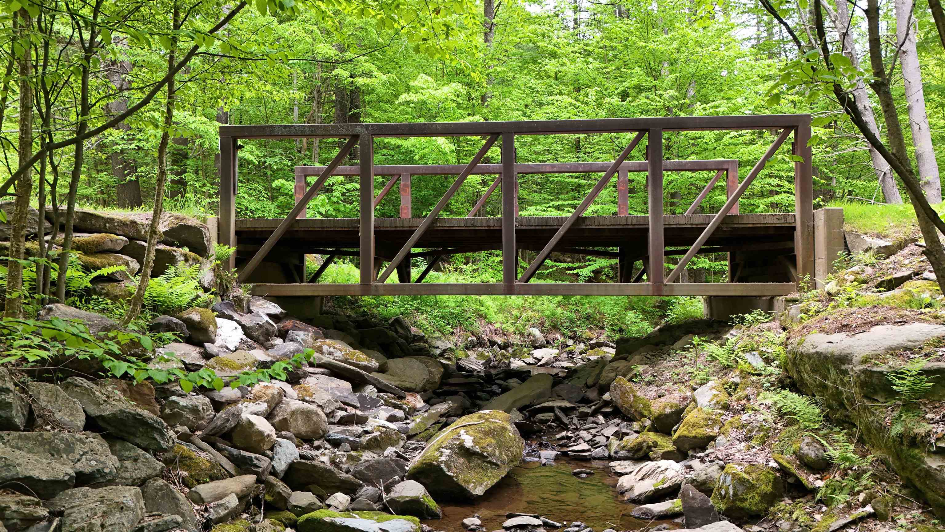 349 Old North Road, Unit 11 Castleton, VT 05735 - Photo 43 of 46