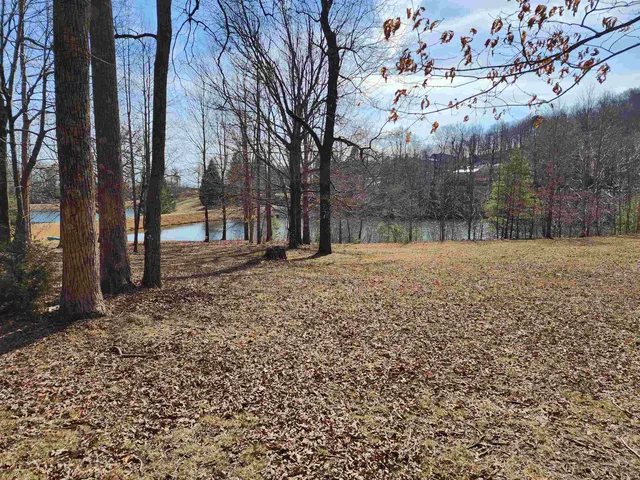 $99,000 | Lot 77 Serpentine Drive, Columbus, NC 28722