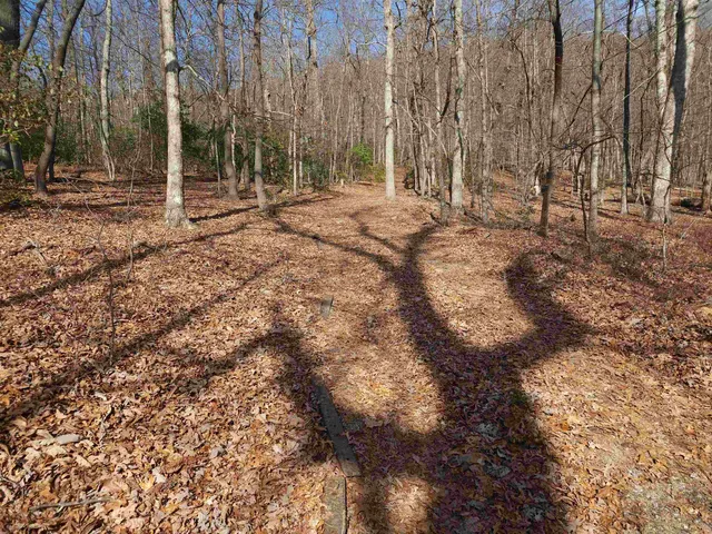 $99,000 | Lot 77 Serpentine Drive, Columbus, NC 28722