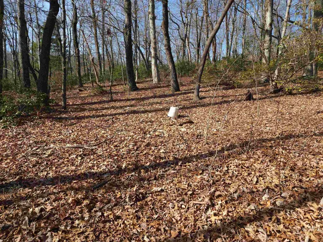 $99,000 | Lot 77 Serpentine Drive, Columbus, NC 28722