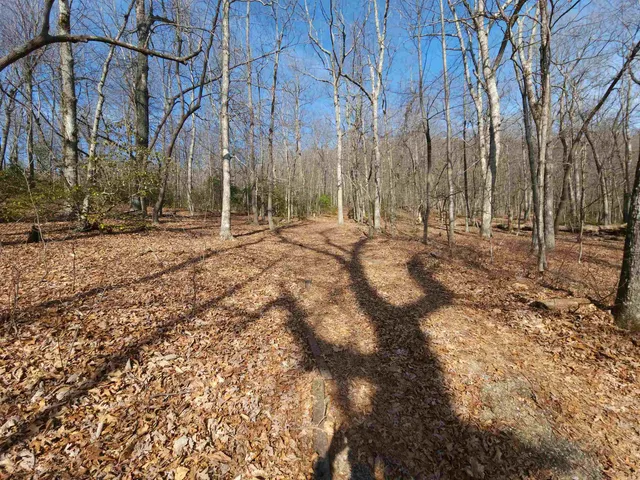 $99,000 | Lot 77 Serpentine Drive, Columbus, NC 28722