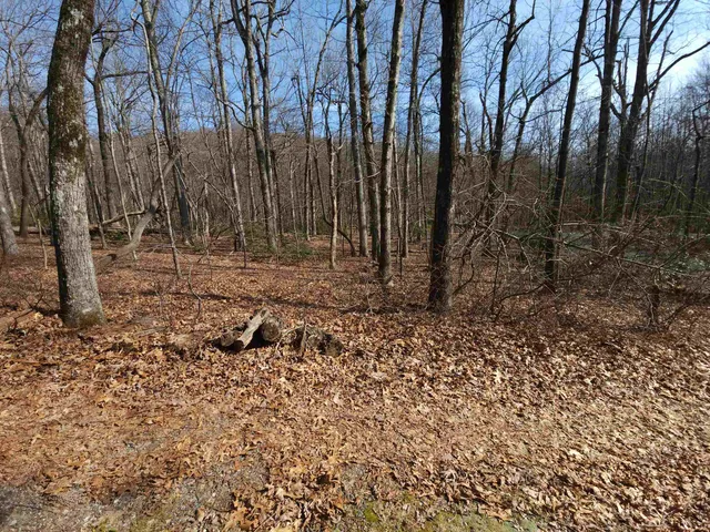 $99,000 | Lot 77 Serpentine Drive, Columbus, NC 28722