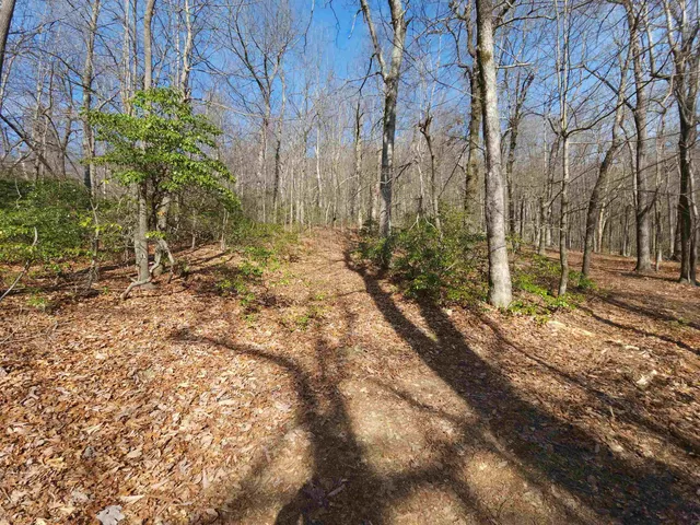 $99,000 | Lot 77 Serpentine Drive, Columbus, NC 28722