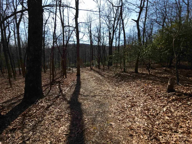 $99,000 | Lot 77 Serpentine Drive, Columbus, NC 28722