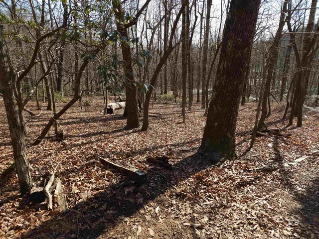 $99,000 | Lot 77 Serpentine Drive, Columbus, NC 28722