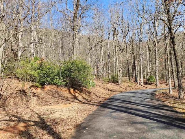 $99,000 | Lot 77 Serpentine Drive, Columbus, NC 28722