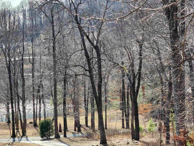 $99,000 | Lot 77 Serpentine Drive, Columbus, NC 28722