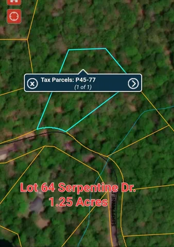 $99,000 | Lot 77 Serpentine Drive, Columbus, NC 28722