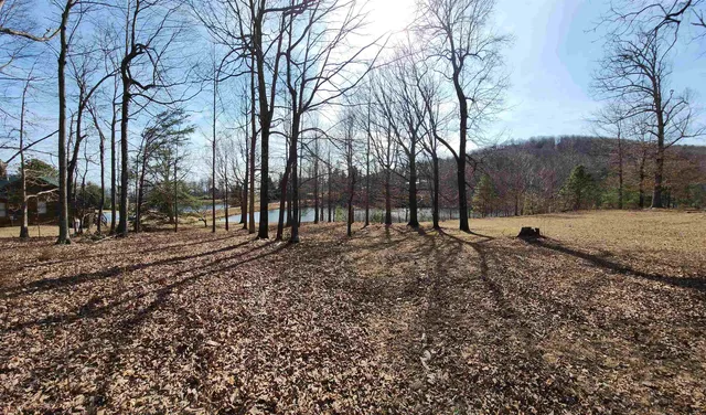 $99,000 | Lot 77 Serpentine Drive, Columbus, NC 28722