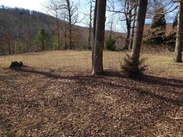 $99,000 | Lot 77 Serpentine Drive, Columbus, NC 28722