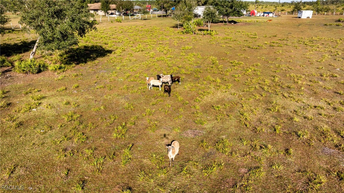 1472 Charolais Road Northwest LaBelle, FL 33935 - Photo 48 of 50 a bathroom with a shower
