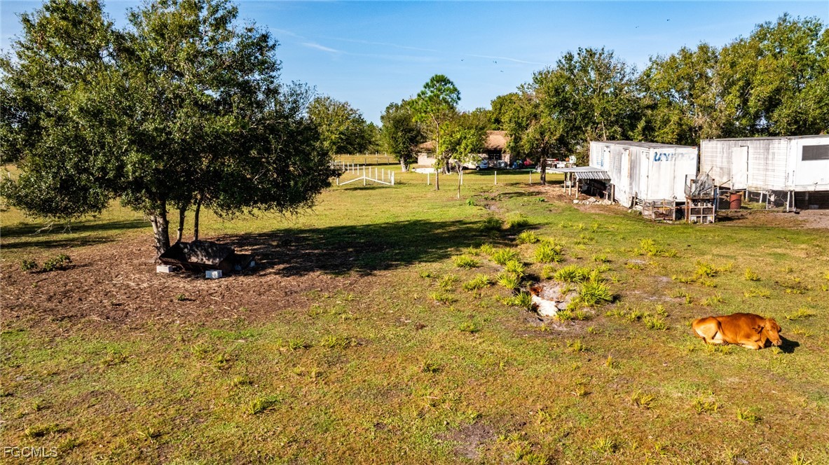1472 Charolais Road Northwest LaBelle, FL 33935 - Photo 49 of 50 a view of a yard with large trees