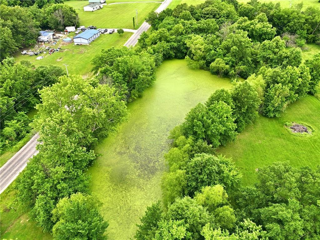 1641 Northwest 100th Road Kingsville, MO 64061 - Photo 58 of 63