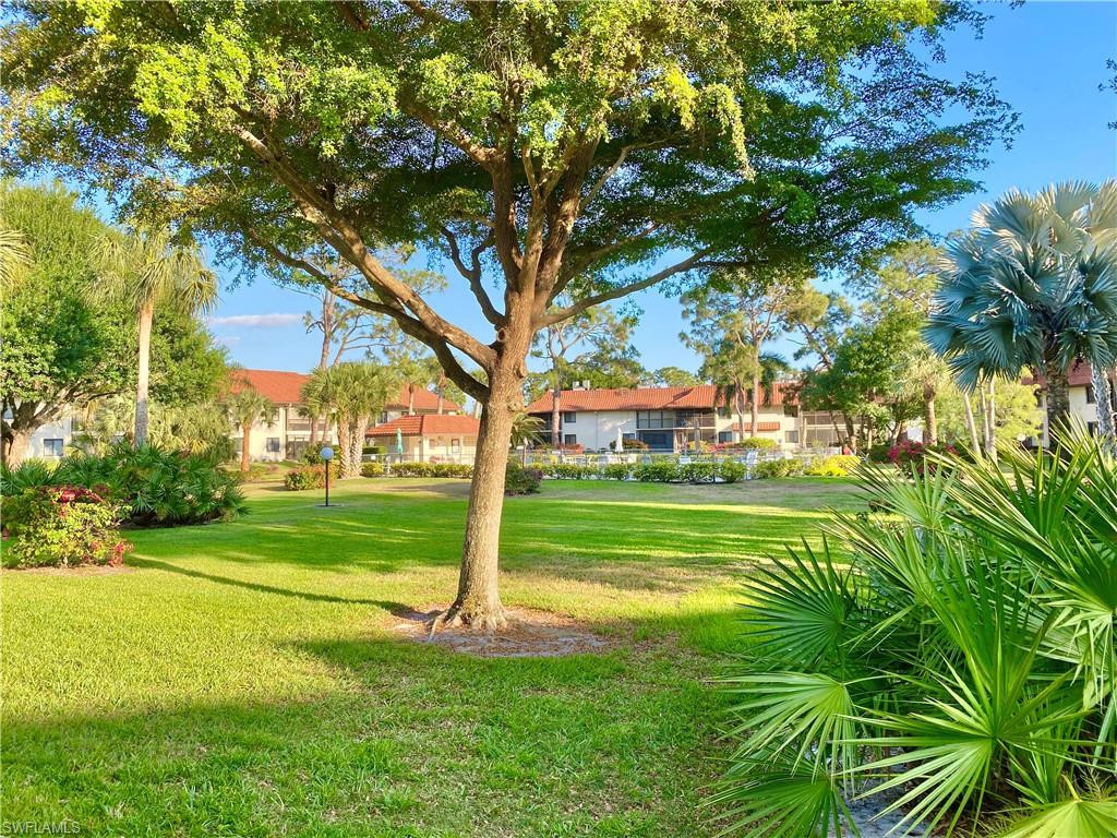 4955 Pepper Circle, Unit B204 Naples, FL 34113 - Photo 7 of 25 a view of a park with large trees