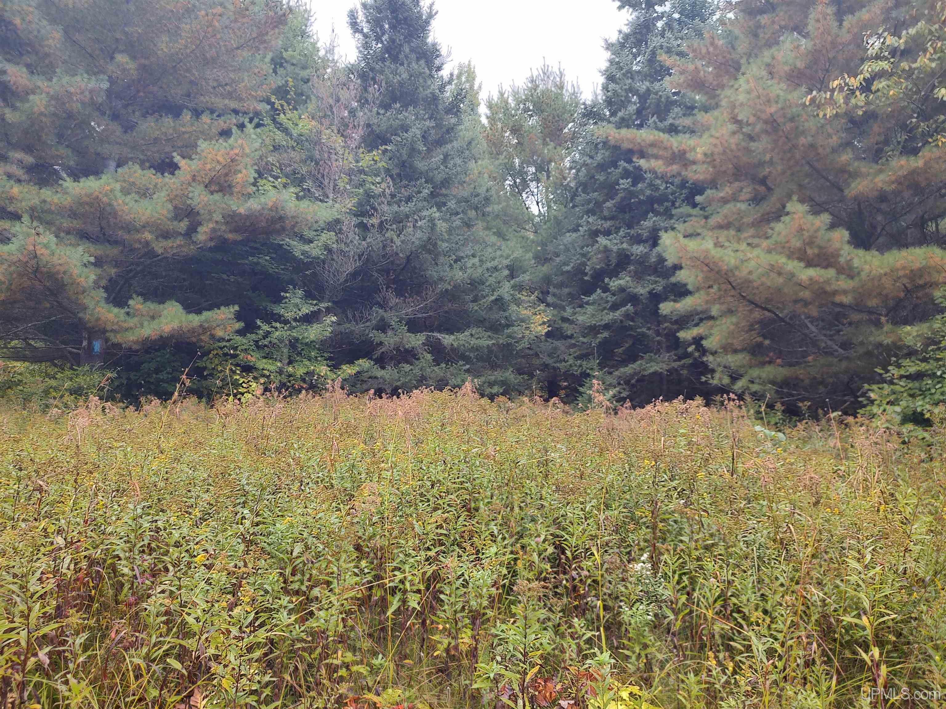 Tbd South Laird Road Pelkie, MI 49958 - Photo 8 of 25