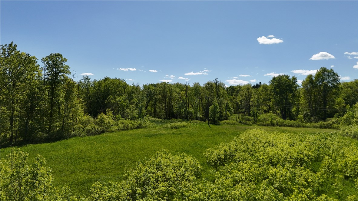 Dredge Ditch Road Conewango Valley, NY 14726 - Photo 6 of 21