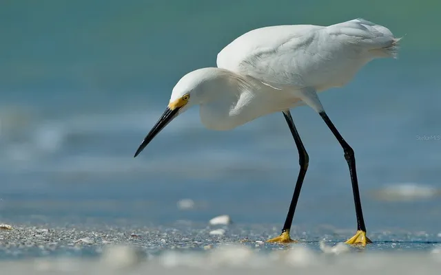 $698,000 | 2955 North Beach Road, Unit C123, Englewood, FL 34223