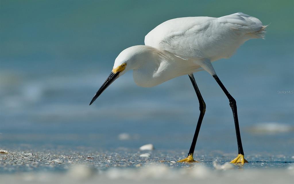 2955 North Beach Road, Unit C123 Englewood, FL 34223 - Photo 45 of 54