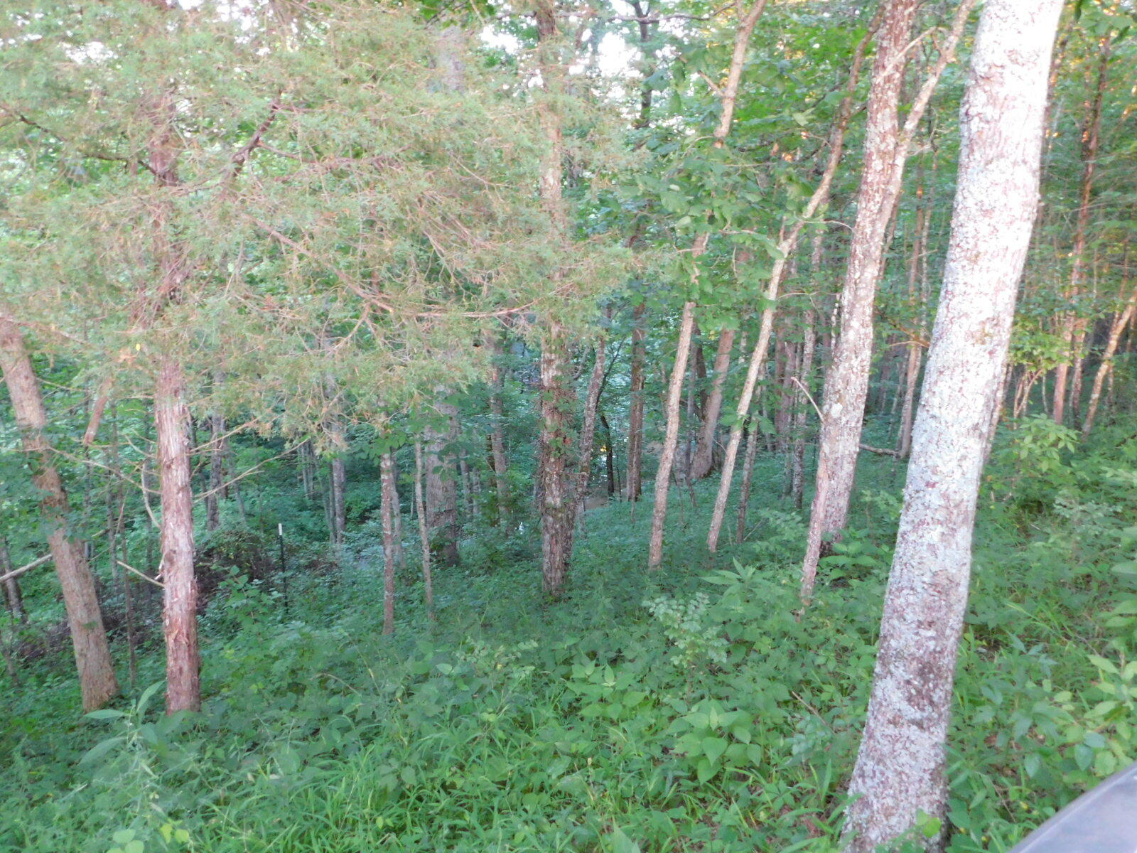 14840 New Columbus Road Corinth, KY 41010 - Photo 19 of 21 Gallery Image 19