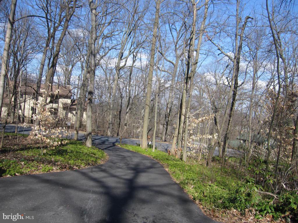 919 Forest Road Lancaster, PA 17601 - Photo 4 of 48 Gallery Image 4