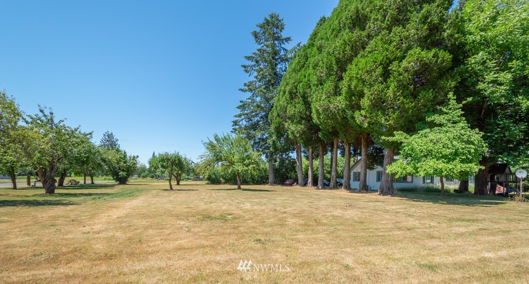 741 Gish Road Onalaska, WA 98570 - Photo 6 of 25 Gallery Image 6