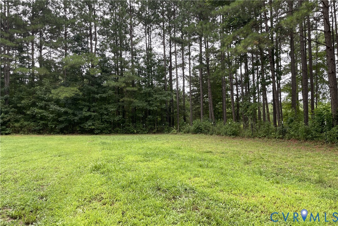 3114 Sheltons Road Drakes Branch, VA 23937 - Photo 17 of 20 a view of outdoor space and yard