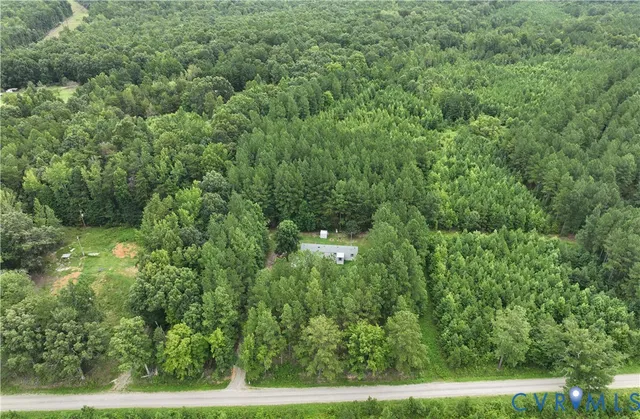 a view of a lush green space