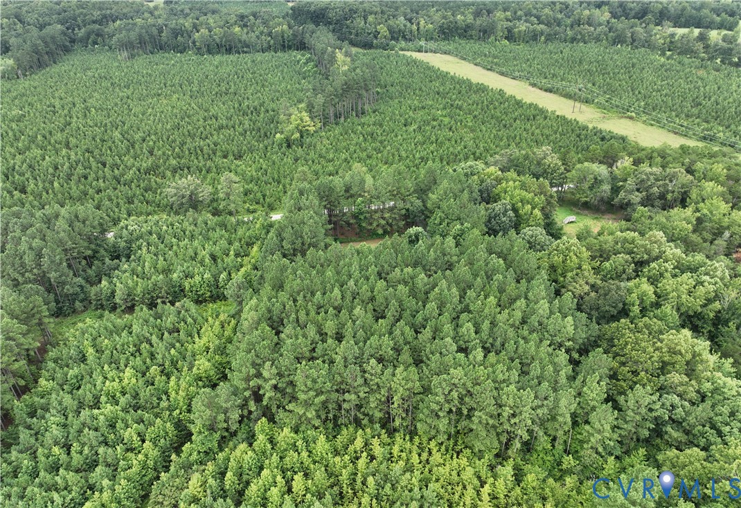 3114 Sheltons Road Drakes Branch, VA 23937 - Photo 19 of 20 a view of a lush green space