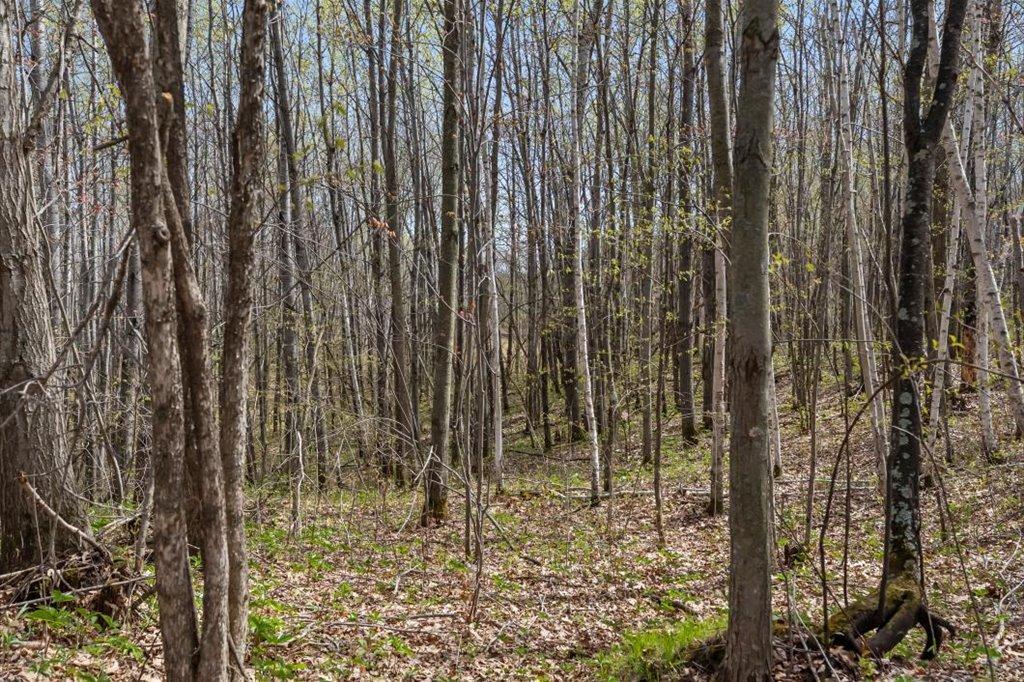 9382 County Road 8 Brainerd, MN 56401 - Photo 101 of 108