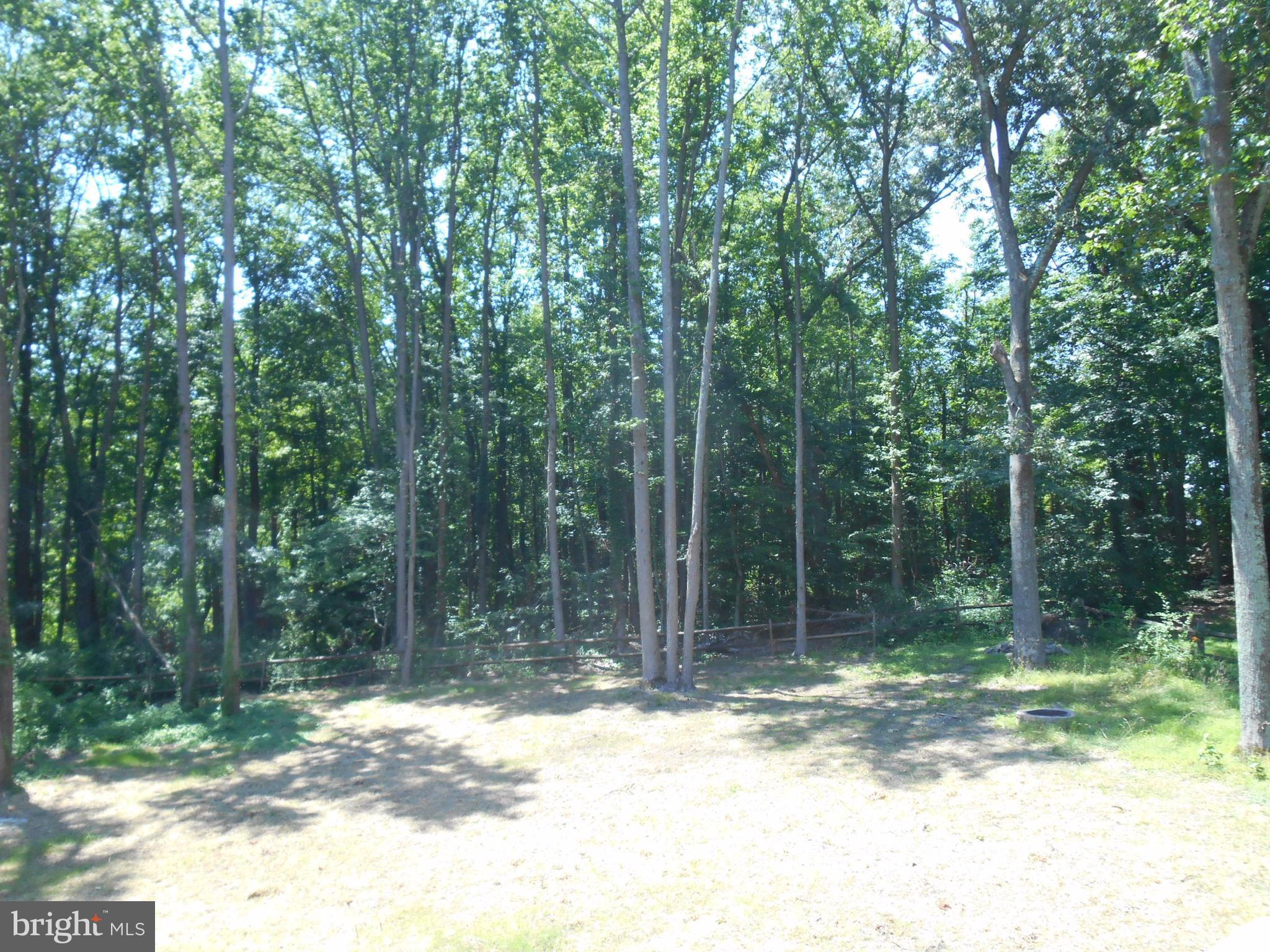 30 Colonial Circle North East, MD 21901 - Photo 4 of 4 a view of a yard with a tree