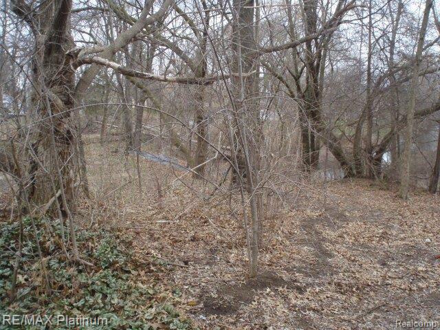 Vl Benstein Road Commerce Township, MI 48382 - Photo 8 of 14 P4160016