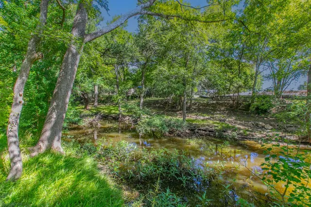 a view of green field with trees