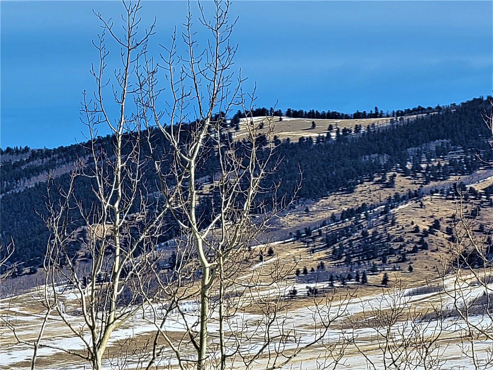 2292 Redhill Road Fairplay, CO 80440 - Photo 15 of 19 Gallery Image 15