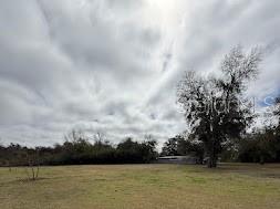 7040 Lumberton Road Zephyrhills, FL 33540 - Photo 11 of 37