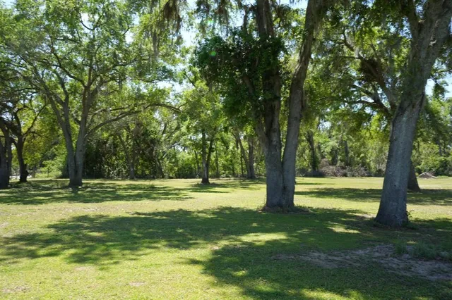 a view of a yard with a tree