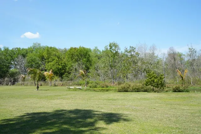 a view of a green field with trees