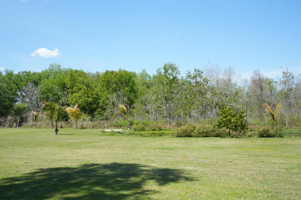 7040 Lumberton Road Zephyrhills, FL 33540 - Photo 22 of 34 a view of a green field with trees