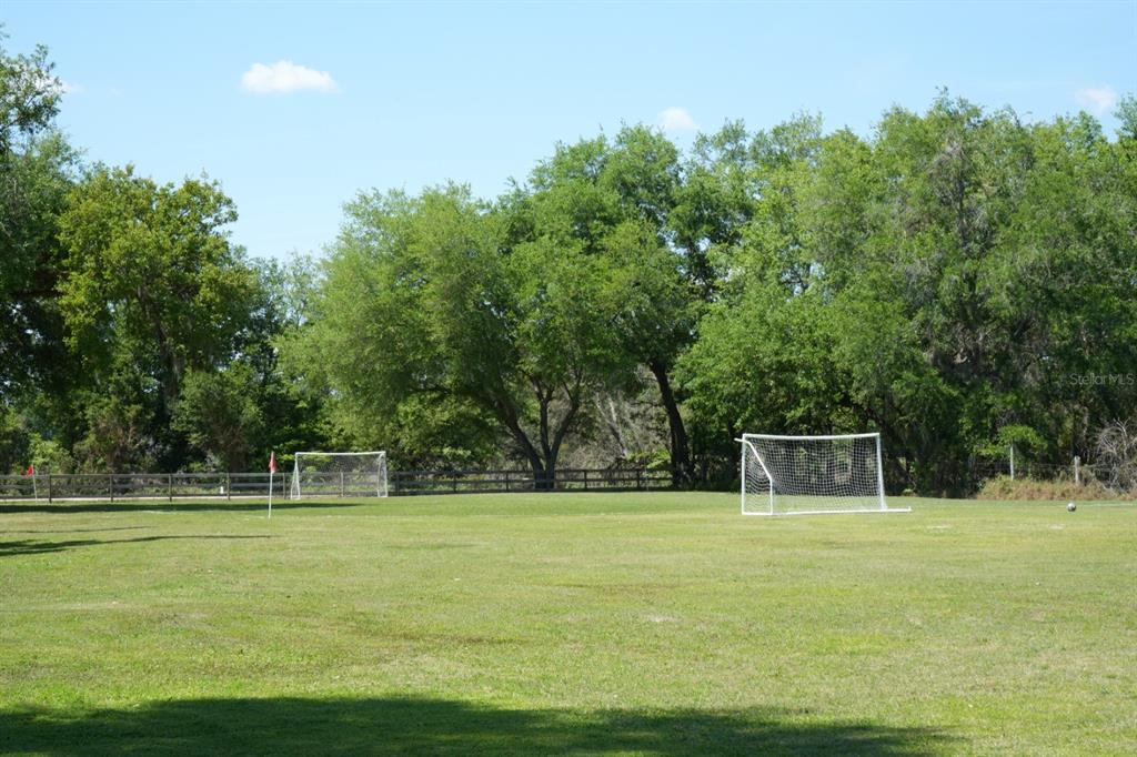 7040 Lumberton Road Zephyrhills, FL 33540 - Photo 23 of 34 a house view with a outdoor space