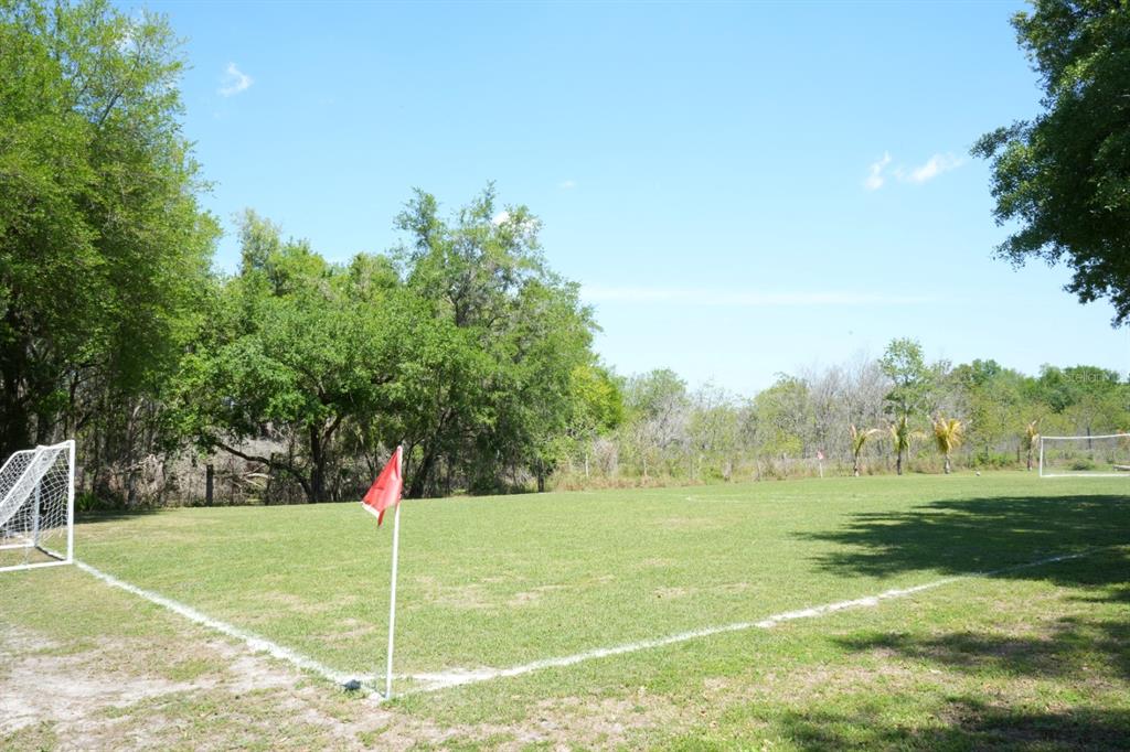 7040 Lumberton Road Zephyrhills, FL 33540 - Photo 25 of 34 a view of a park