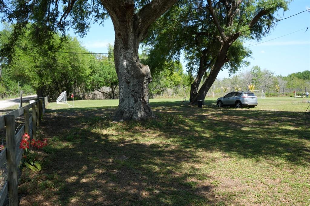 7040 Lumberton Road Zephyrhills, FL 33540 - Photo 28 of 34 a view of a yard with large trees