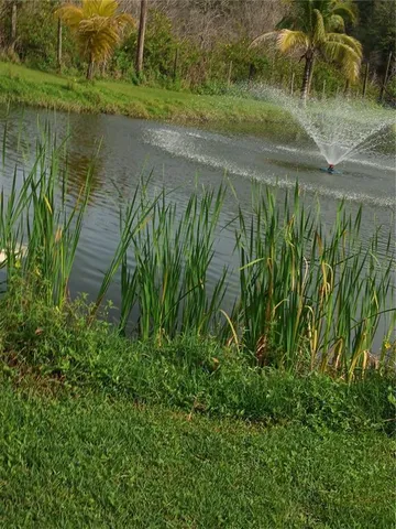 a view of a lake with a yard