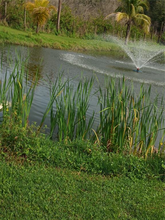 7040 Lumberton Road Zephyrhills, FL 33540 - Photo 29 of 34 a view of a lake with a yard