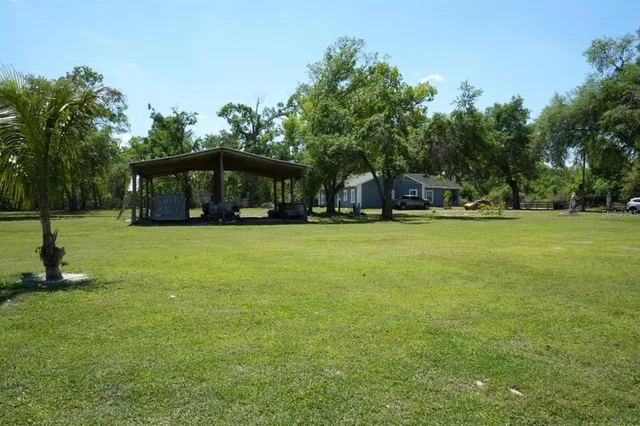 a view of a tree in front of a house with a yard