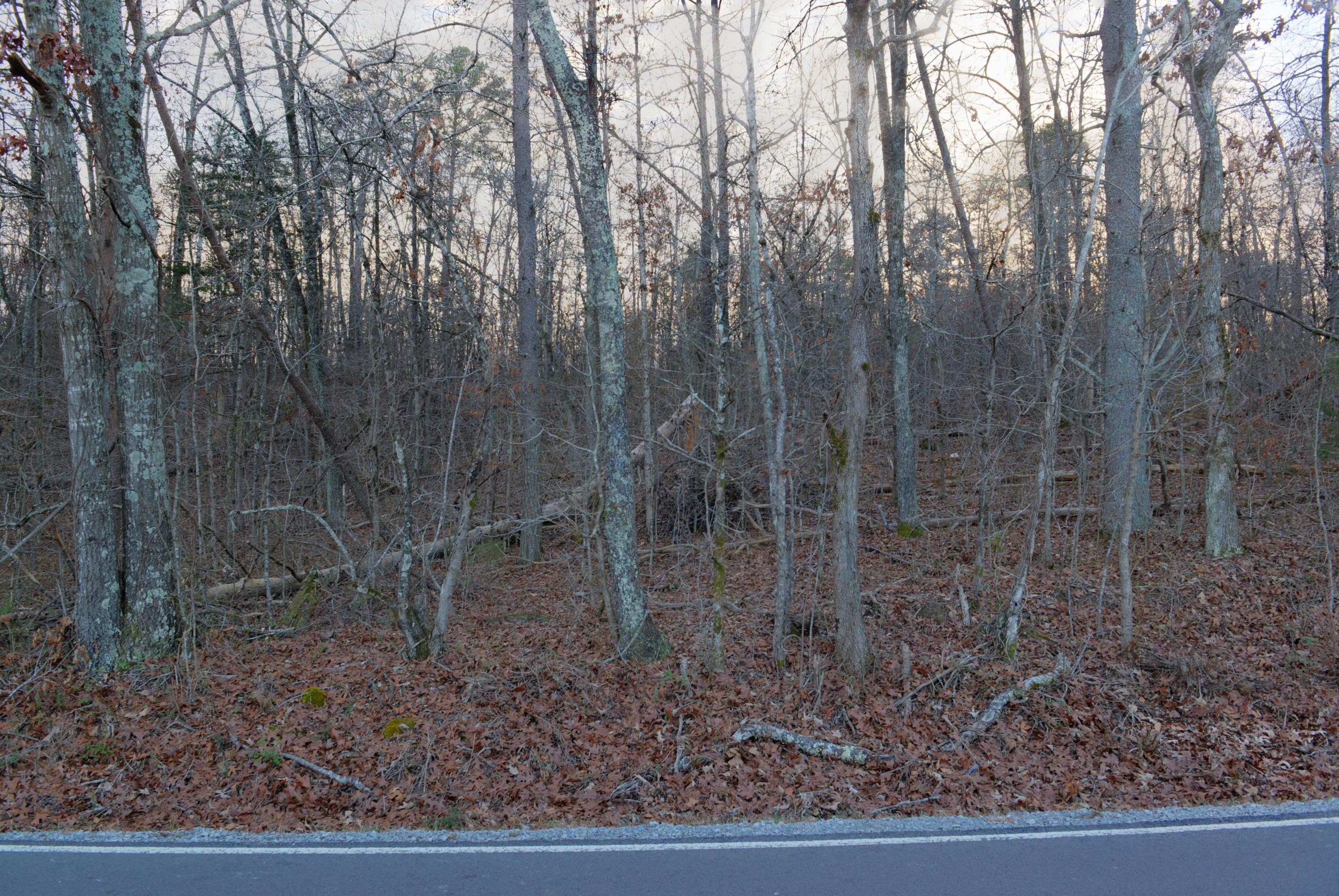 16.22-ac White Flats Road Dayton, TN 37321 - Photo 6 of 10 6.16.22 ac White Flats Road