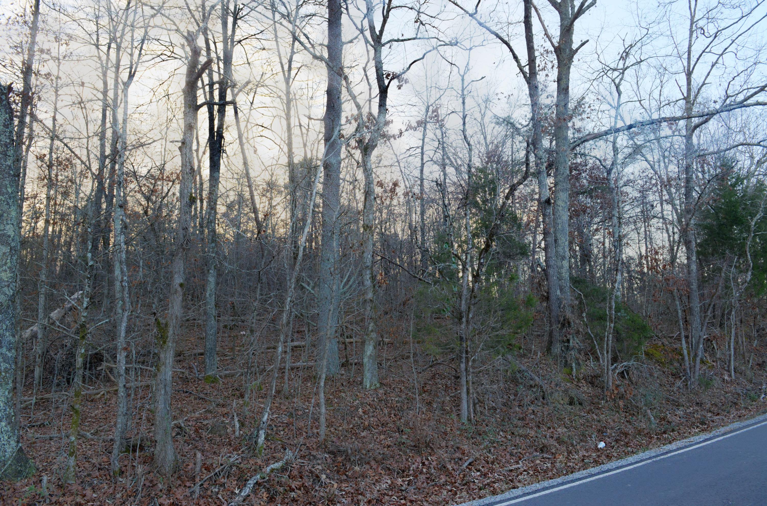 16.22-ac White Flats Road Dayton, TN 37321 - Photo 7 of 10 7.16.22 ac White Flats Road